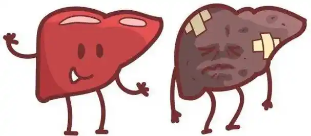 全面解析脾大与脾功能亢进,揭秘脾脏的奥秘!_原因_血液_病原体