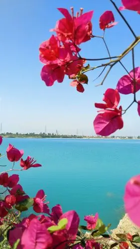 【摄影达人·x9】碧水蓝天