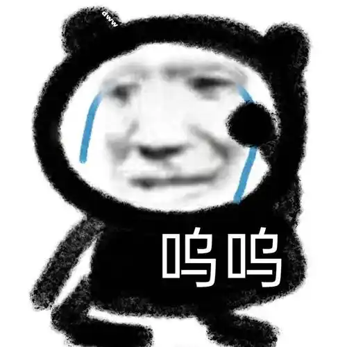 公众_表情_什么