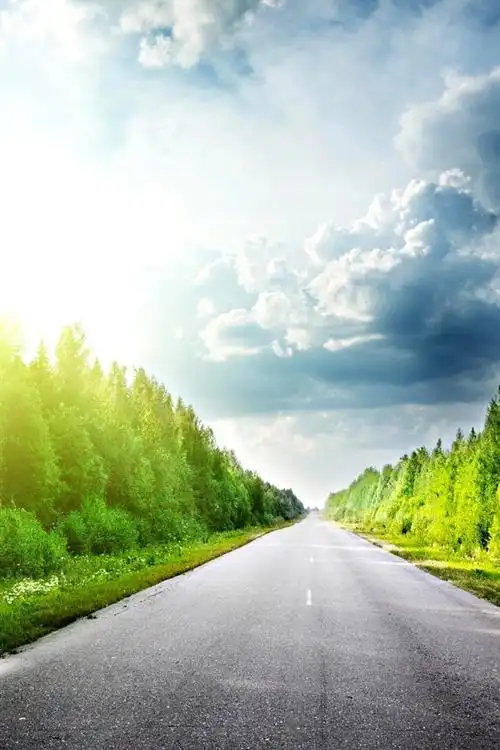 树木,绿色,道路,阳光,云彩,眩光