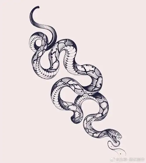 蛇纹身    #纹身分享##纹身设计##北京纹身店##纹身素材分享