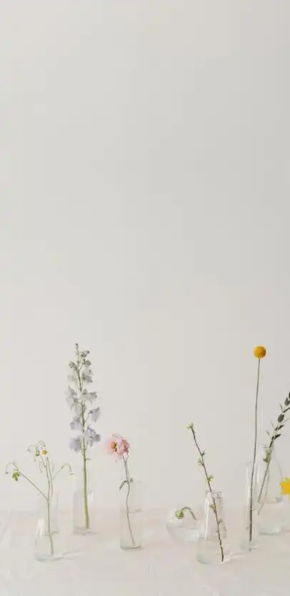 干净有品位的背景图,全屏唯美极简图片