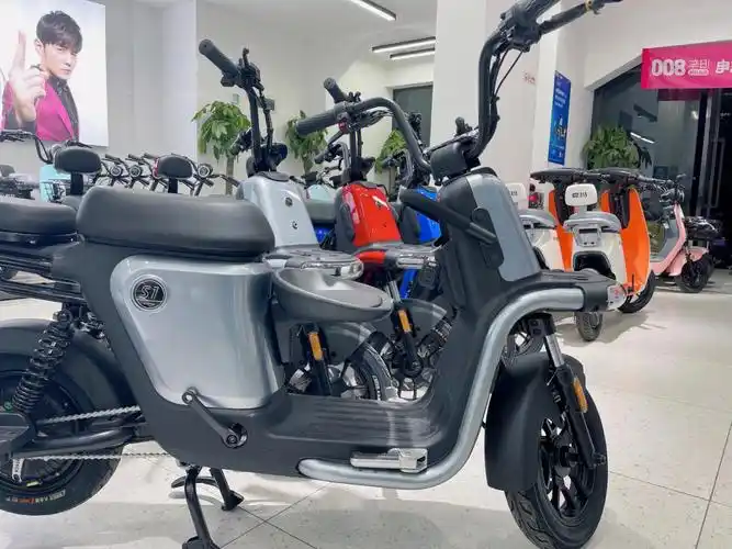 说起电动车爱玛,雅迪,台铃等大家能脱口而出00我认为它们之间没有