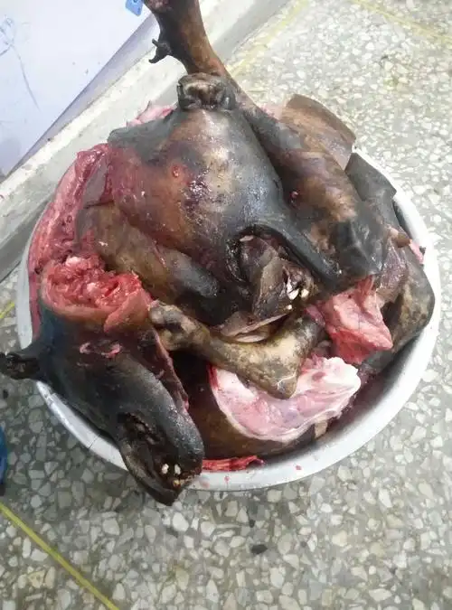 一盆切好的狗肉油光发亮,肉质鲜红亮丽,牵动着每个味蕾细胞.