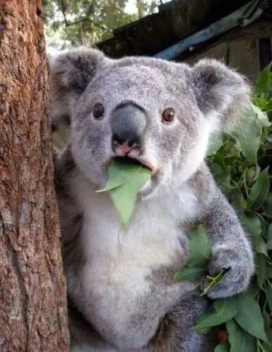 这么惊讶的表情你是看到什么了吗