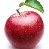 苹果头像大全唯美_微信头像图片大全