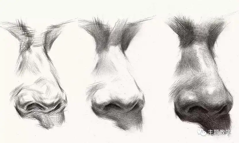 素描头像画鼻子的实用技巧局部教程