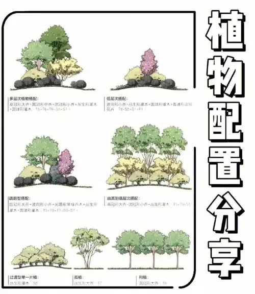 快来抄作业庭院花境绿植四种形式立面参考