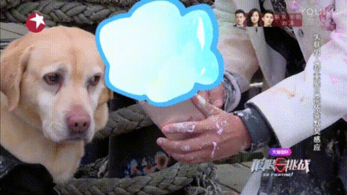 极限挑战孙红雷真人秀搞笑gif动图_动态图_表情包下载_soogif