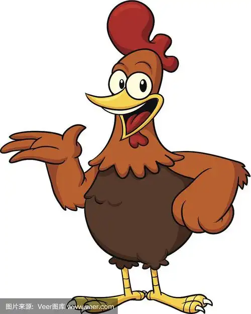 矢量卡通鸡在白色的背景