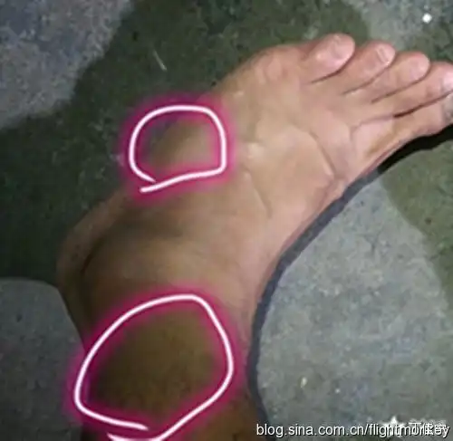 浩博国际体育投注