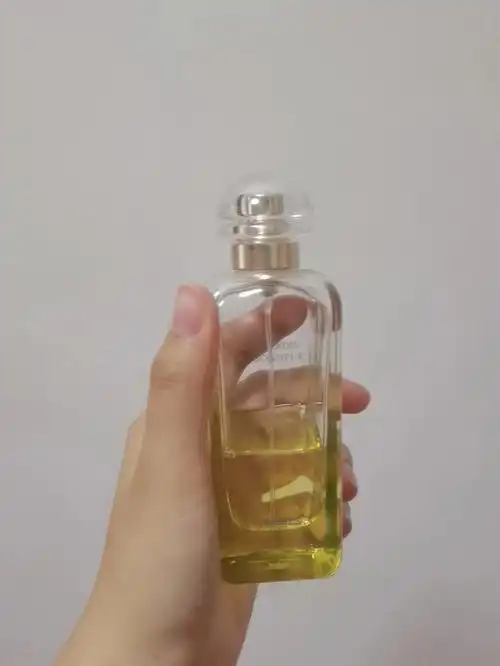 学生党夏日香水集合