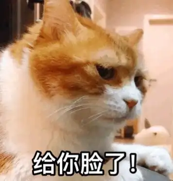 给你脸了gif是不gif扶你gif还不起来gif