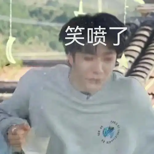 刘耀文表情包一