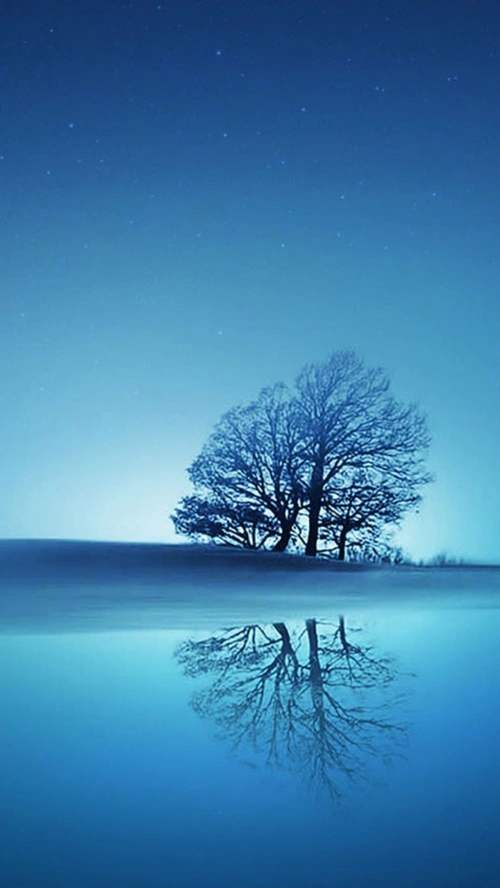 风景蓝色天空海面大树h5背景素材