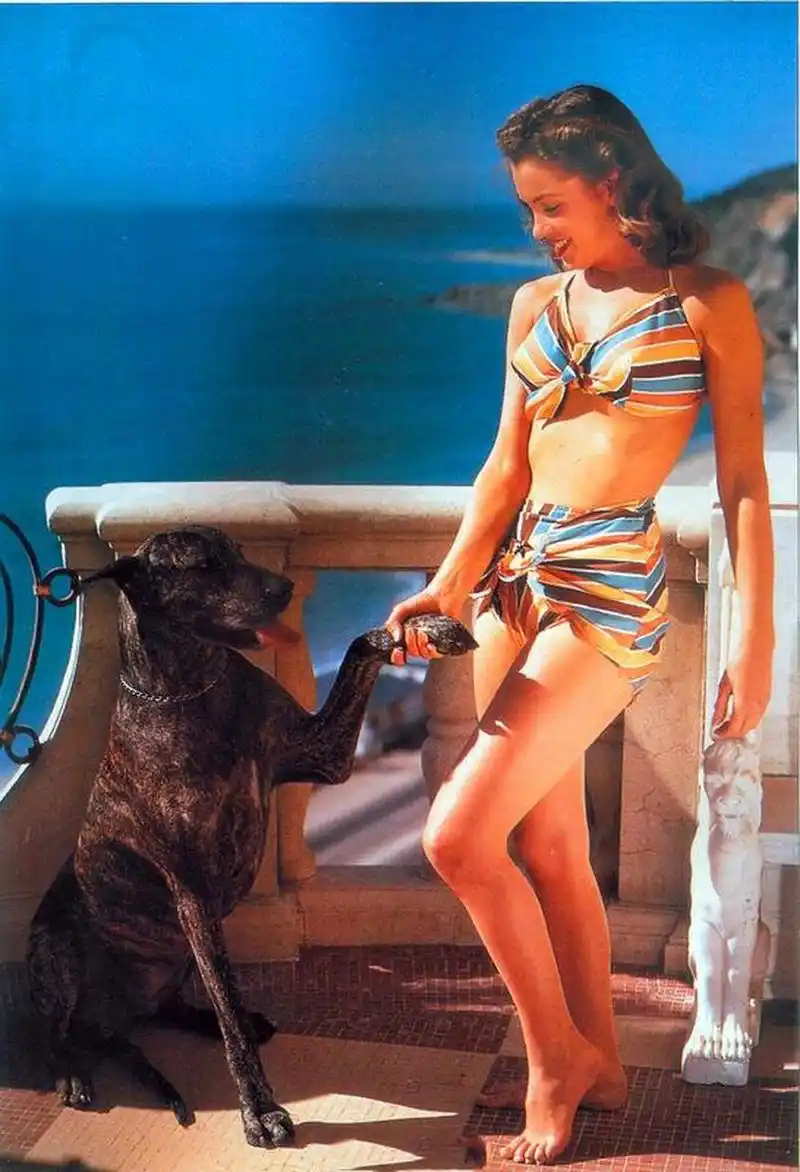 玛丽莲·梦露的泳装照 #瓜圈研究大会