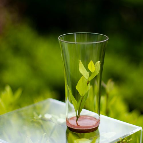 龙井茶杯-特价促销-优惠券领取-价格|多少钱|什么牌子好-35优惠券网站