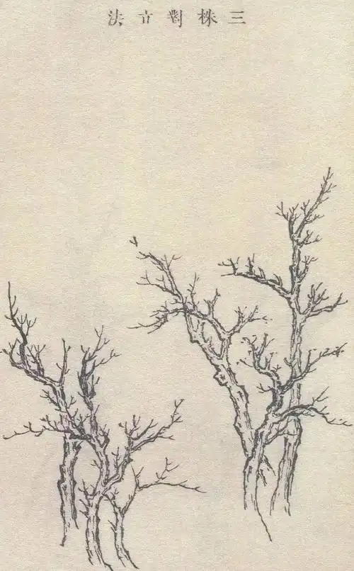 中国山水画教程:树的画法