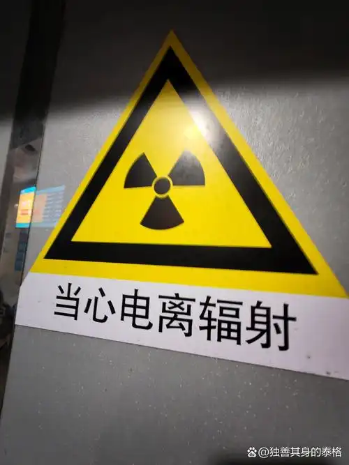 哎呀,这个标志提醒我们要小心辐射,还是安全第一!
