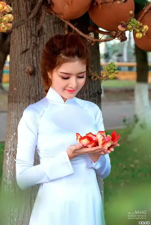 穿白色旗袍的越南美女