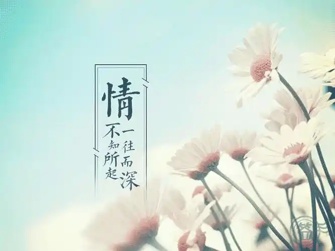 愿有岁月可回首 且与深情共白头