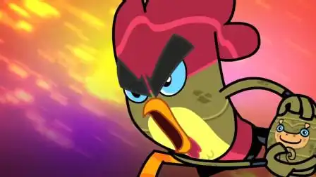 功夫鸡金蛋恢复了,这下鸡仔要厉害了