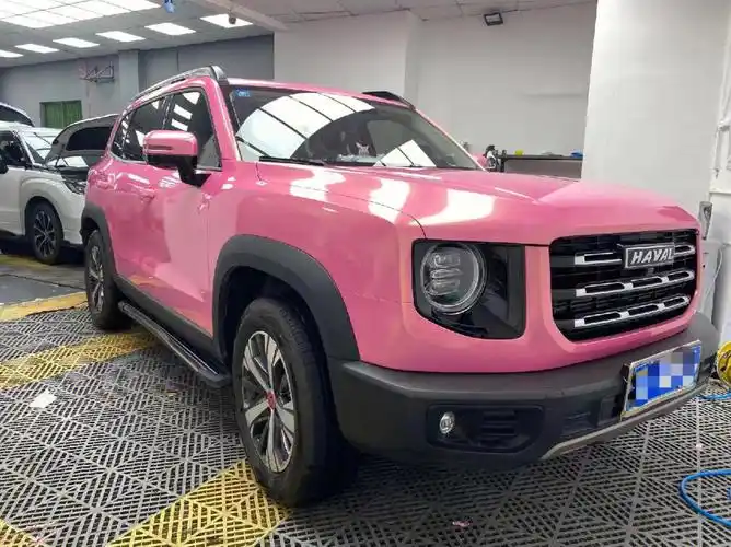 哈弗大狗改色案例钻石金沙粉