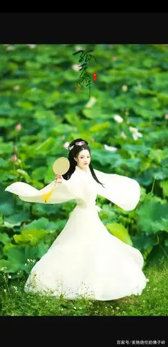 荷花池的美丽仙女