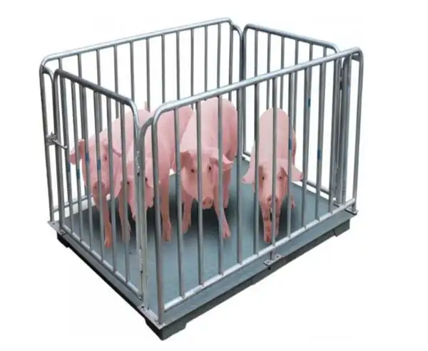 电子猪笼秤带围栏称动物电子磅称