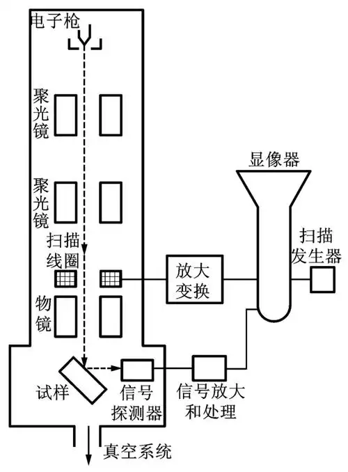 图2-21 扫描电子显微镜的结构框图