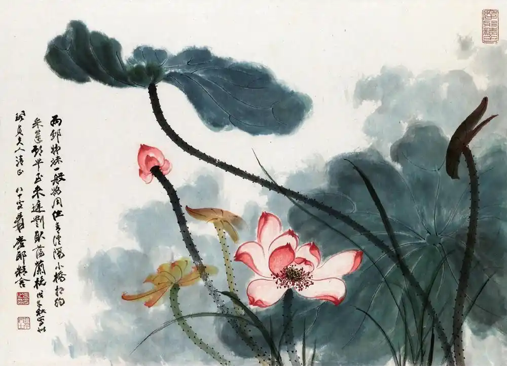 【君子之风(荷花)】【欣赏 张大千国画 】