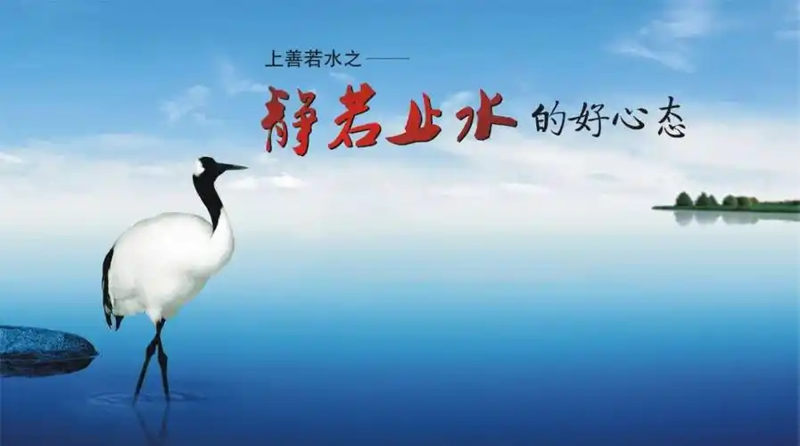 中运夜读 | 上善若水|老子_新浪财经_新浪网