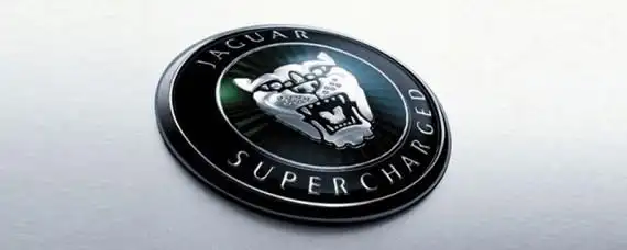 狮子头是什么车