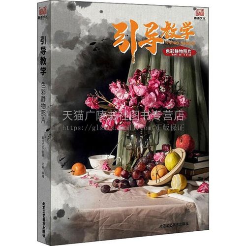 引导教学 色彩静物照片 艺术色彩静物临摹范本照片对临范画艺考美术书