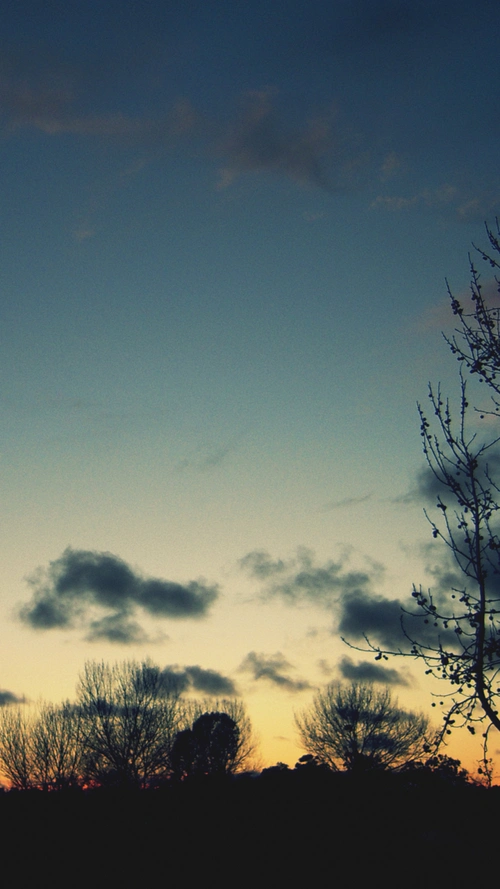 风景意境唯美h5背景图片