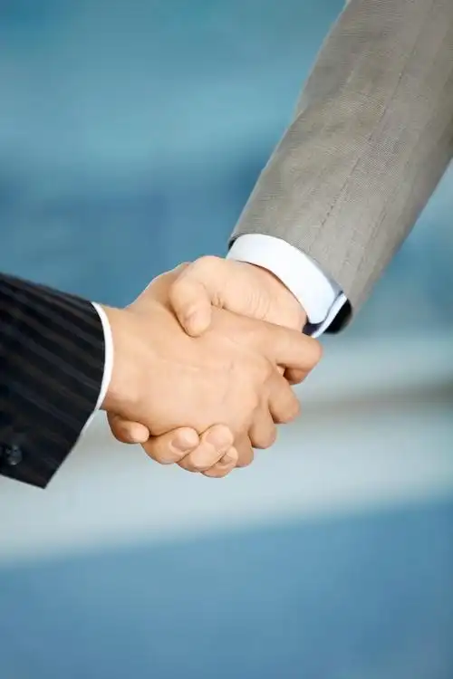 握手,特写,商务人士,相互