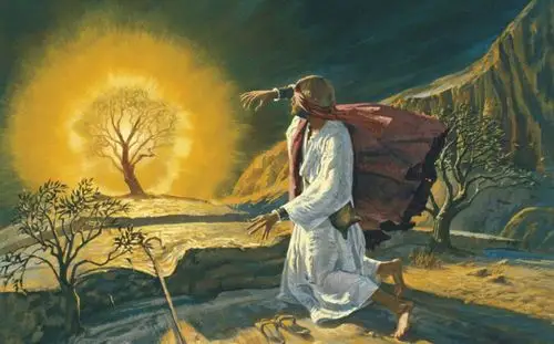 摩西书教导我的事