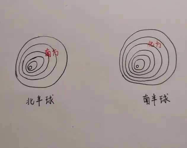 柯南小课堂:教你如何在野外辨别方向!