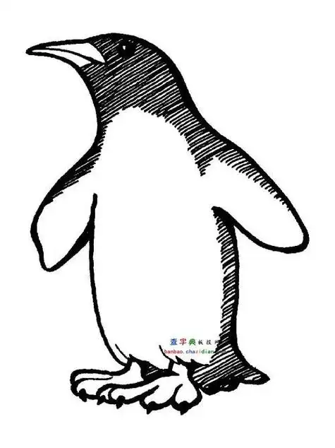 企鹅站在冰块儿上简笔画