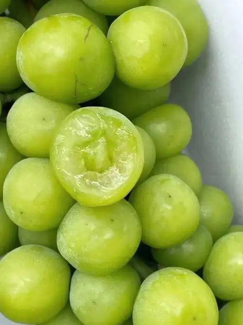 阳光77玫瑰晴王葡萄来一波