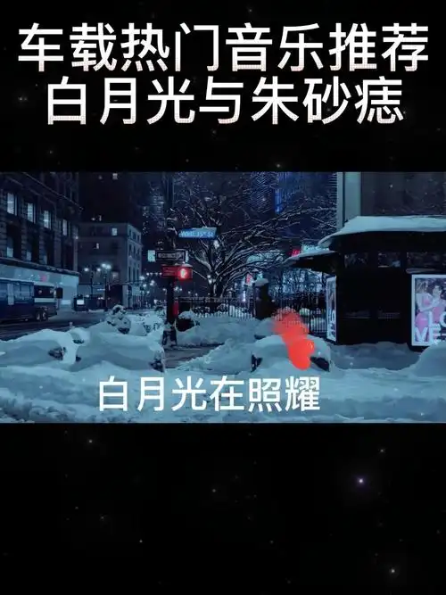 白月光与朱砂痣