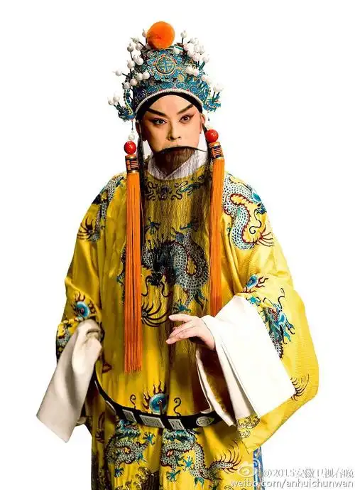 这两位是当今京剧界甚至戏曲界的代表人物.