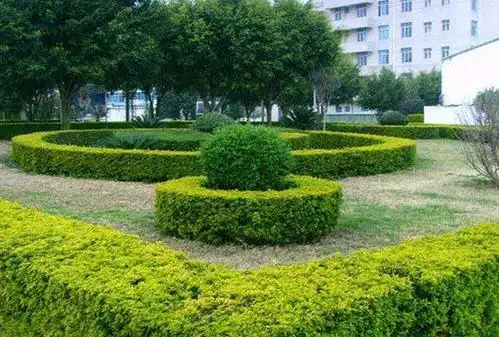 园林绿化工程中规则式绿篱,色块的定点放线:1,绿地里的色块,可以道路