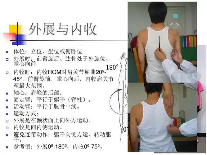 肩关节活动度ppt