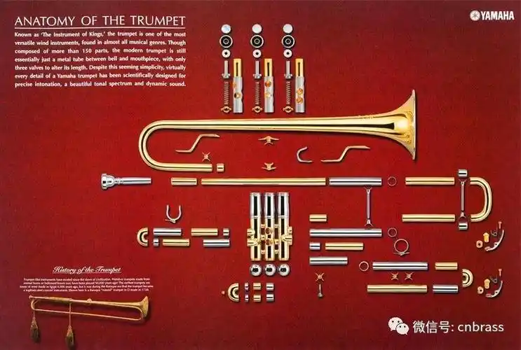 音乐百科铜管乐器小号