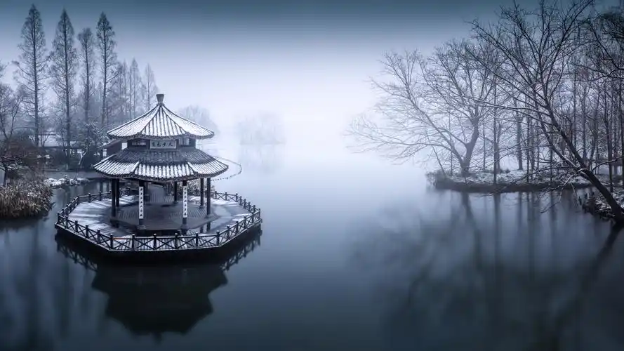 杭州西湖黛色参天雪景摄影照片