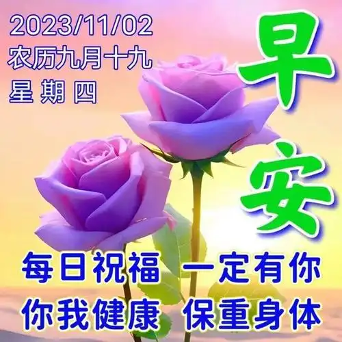 每日温暖心灵的早安祝福语精选,清晨发朋友圈的早上好唯美图片