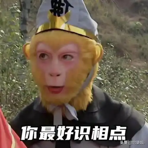 女孩子专用傲娇大师兄成套表情包