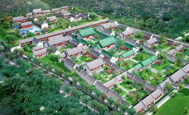 恭王府博物馆馆长冯乃恩修好梧桐树引来凤凰栖