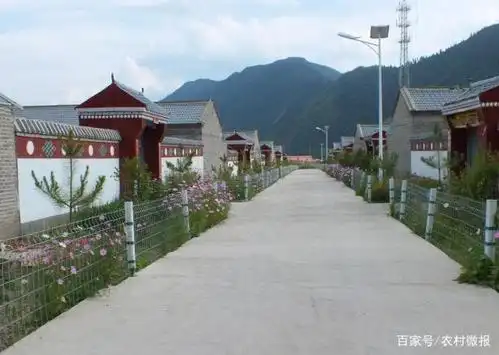 优秀村庄展示:青海省门源回族自治县仙米乡大庄村